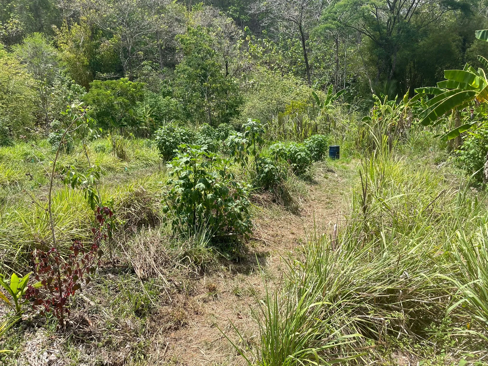 Farm landscape in Playon Sur