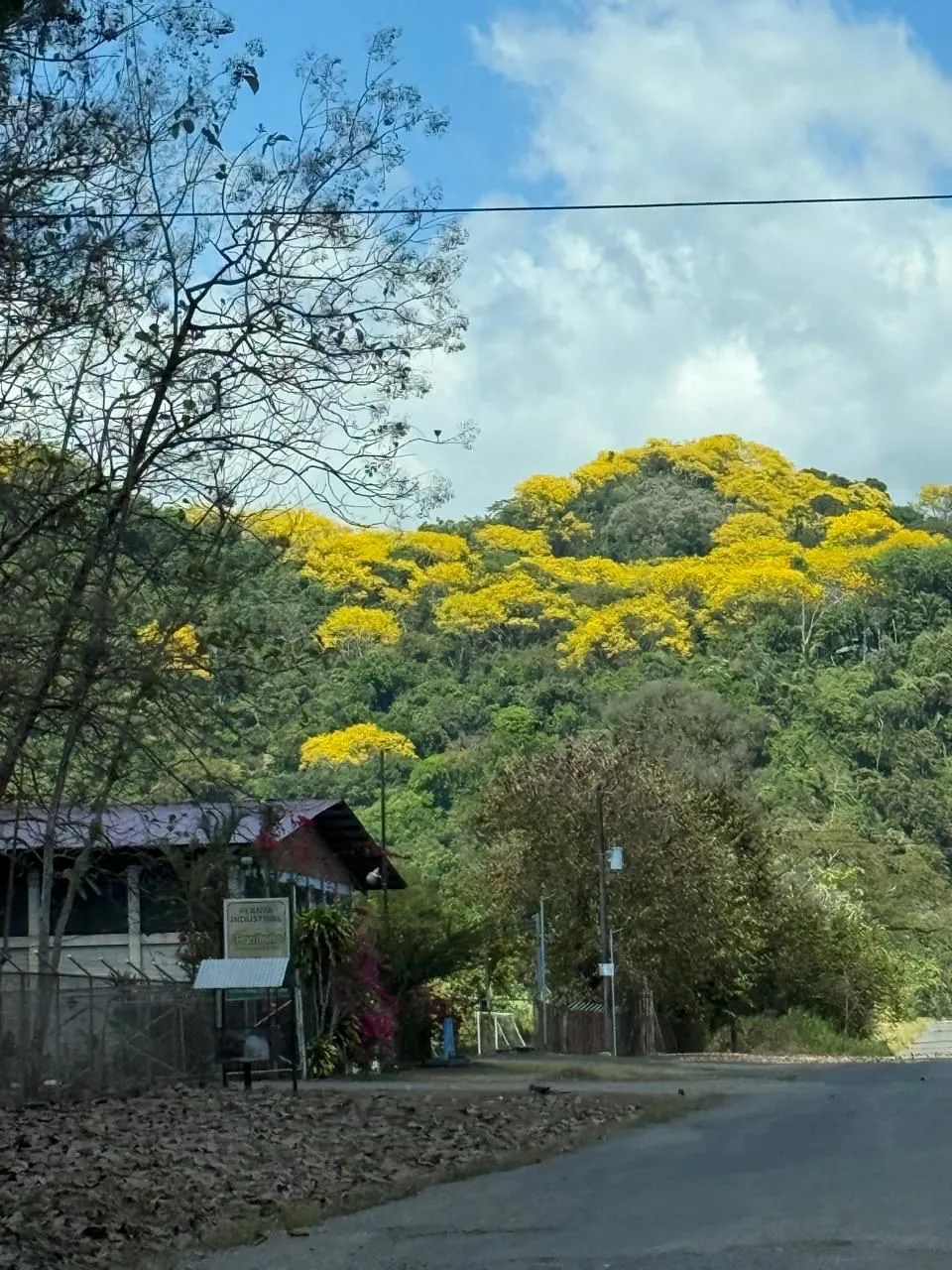 Emerging growth at Finca Alazán